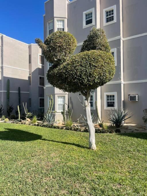 Departamento En 1Er Piso 2 Bdr 2Bath Tezal Apartment Cabo San Lucas Exterior foto